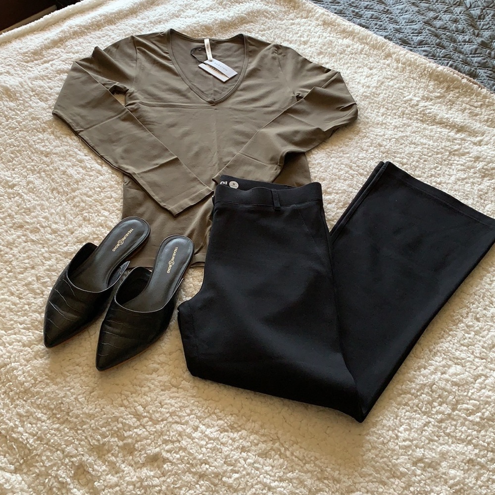 NWT Babaton (Aritzia) Deep v neck seamless shirt